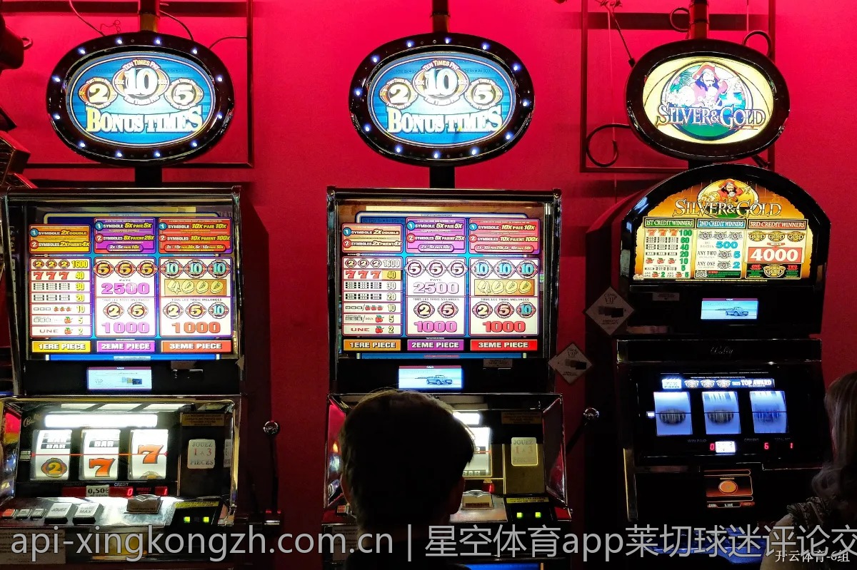 星空体育app莱切球迷评论交流区